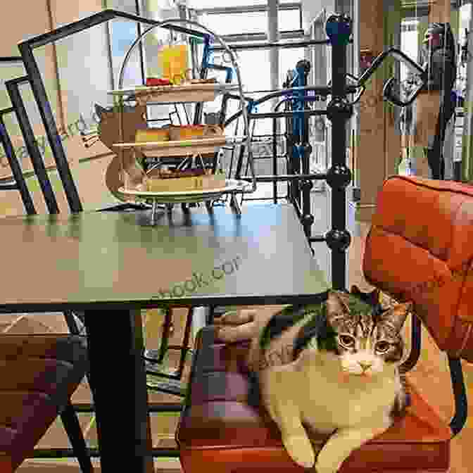 A Cozy Cat Cafe With Patrons Surrounded By Friendly Cats Cat About Town: A Cat Cafe Mystery (Cat Cafe Mystery 1)