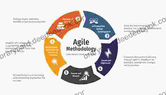 A Software Development Team Using An Agile Methodology. Manual Of INTERNAL FIXATION: Techniques Recommended By The AO ASIF Group