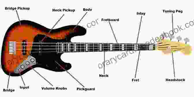 Bass Guitar Parts Diagram First 15 Lessons Bass Guitar: A Beginner S Guide Featuring Step By Step Lessons With Audio Video And Popular Songs