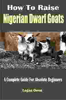 How To Raise Nigerian Dwarf Goats: A Complete Guide For Absolute Beginners