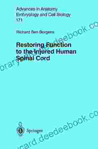 Restoring Function to the Injured Human Spinal Cord (Advances in Anatomy Embryology and Cell Biology 171)