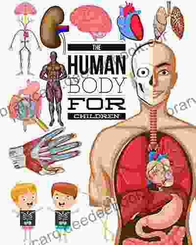 The Human Body For Children: My First Interactive Human Body For Kids Ages 4 8 How It Works