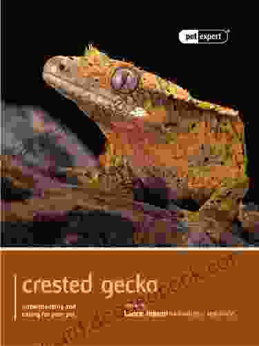 Crested Gecko (Pet Expert 1)