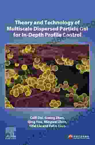 Theory And Technology Of Multiscale Dispersed Particle Gel For In Depth Profile Control