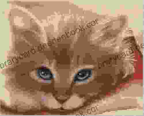 Cat Face Cross Stitch Pattern